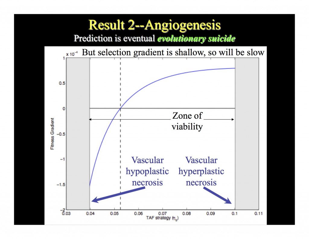 Result 2 Angiogensis slide